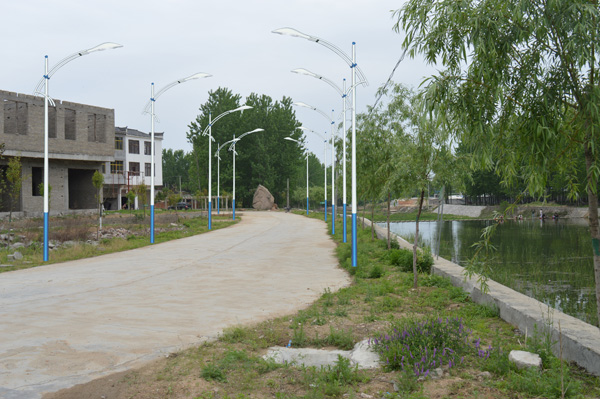 河边道路路灯 日景